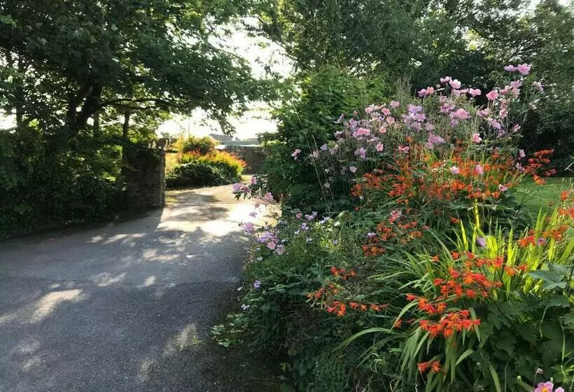 Bed and Breakfast Tranquil Water