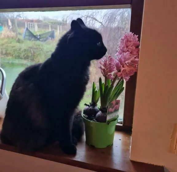 Bed and Breakfast Tranquil Water