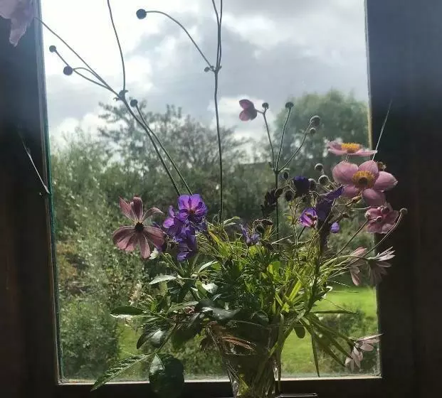 Bed and Breakfast Tranquil Water