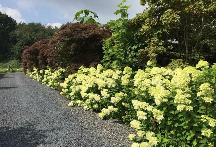 膳宿费 Ferienwohnung Kolb