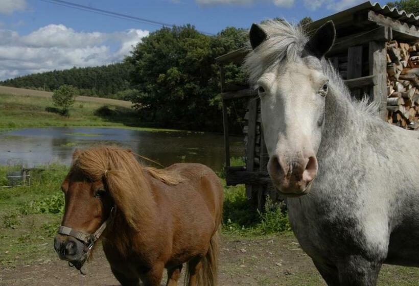 בית מלון כפרי Pension Kastanienhof