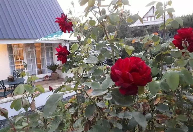 Majatalo Honeysuckle Clarens