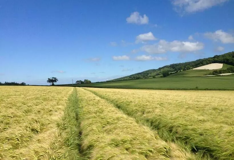 Aamiaismajoitus (B&B) Brook Barn