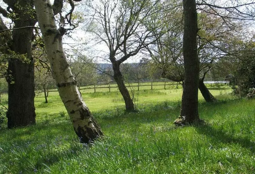 Aamiaismajoitus (B&B) Brook Barn