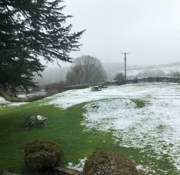 Bed and Breakfast Holmeshead Farm