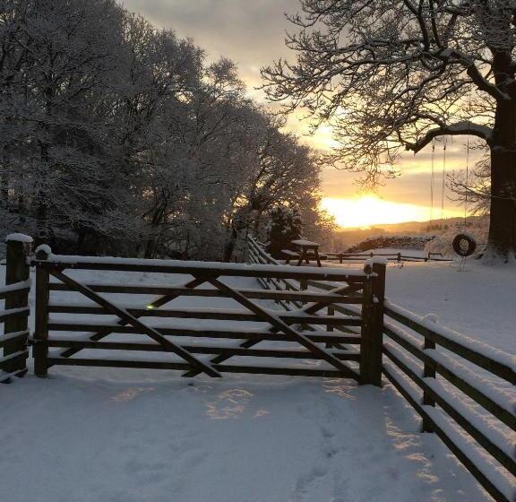 Bed and Breakfast Holmeshead Farm
