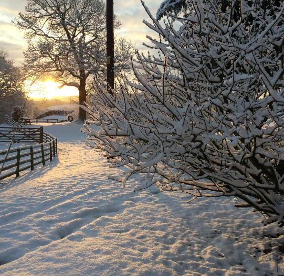 Bed and Breakfast Holmeshead Farm