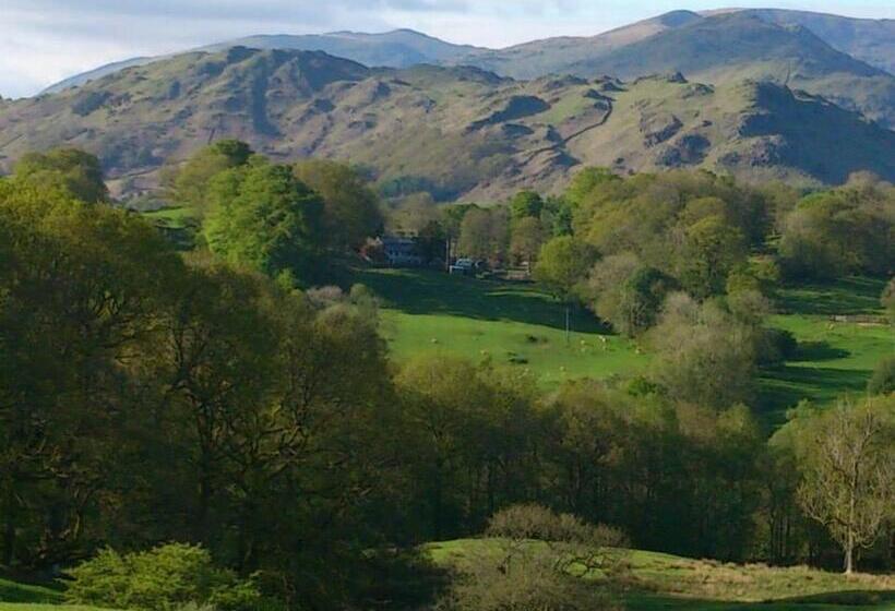 Bed and Breakfast Holmeshead Farm