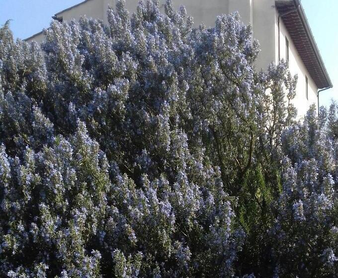 צימר Podere Sanlorenzo