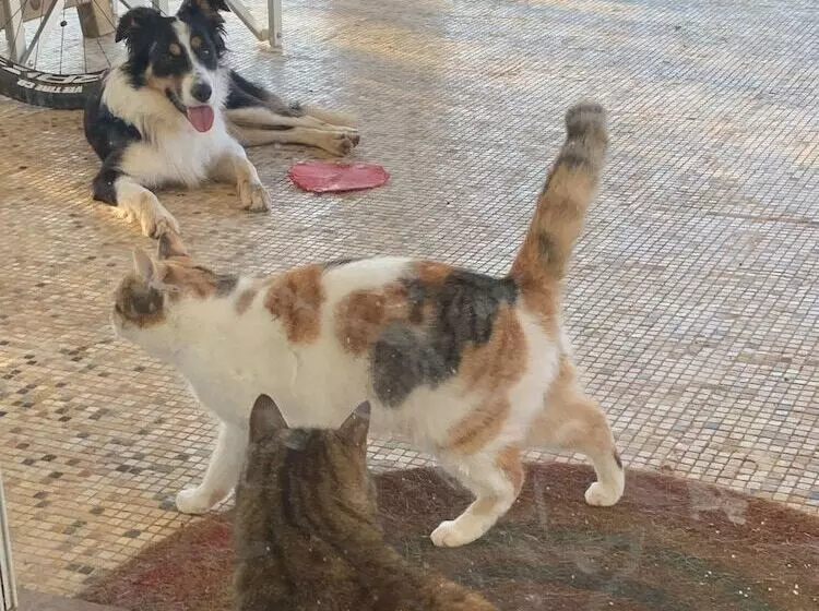 ベッドアンドブレックファースト Casale Artemisia Capalbio