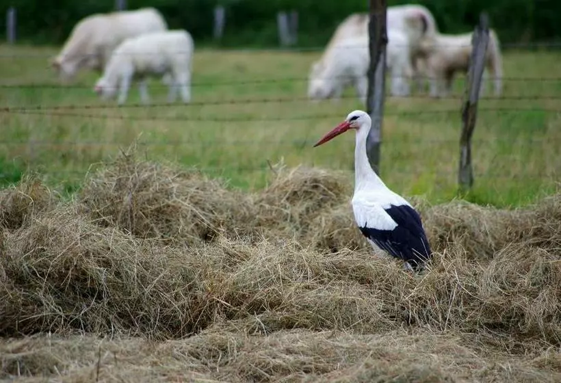 Aamiaismajoitus (B&B) Chambr Im Leh