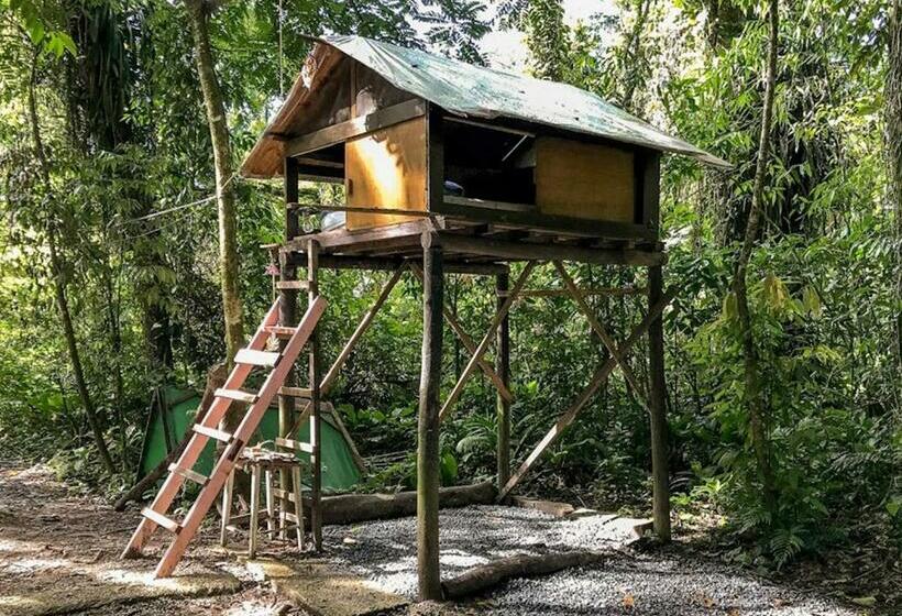 Hostel E Camping Rio Das Pedras