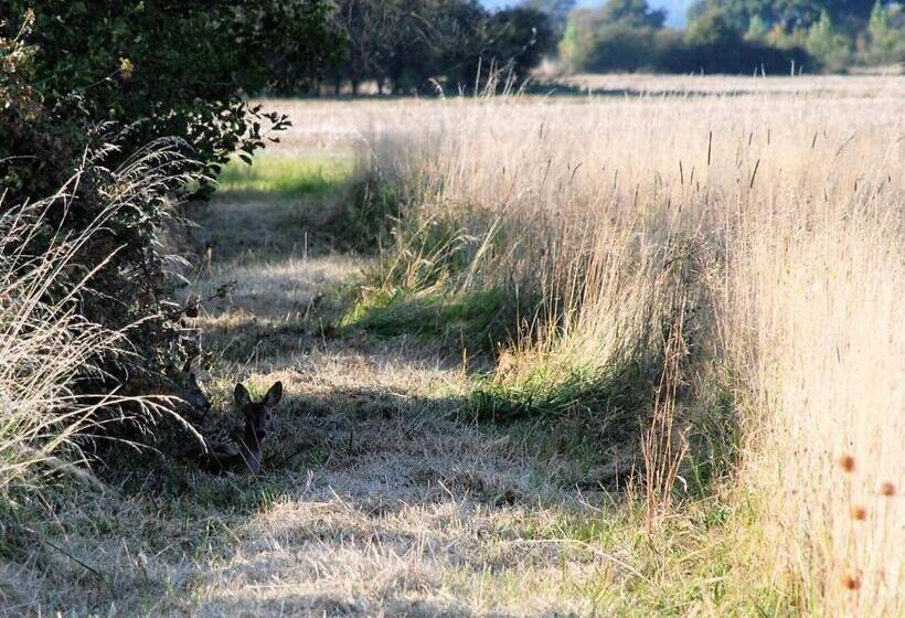 Отель Barnham Court Farm