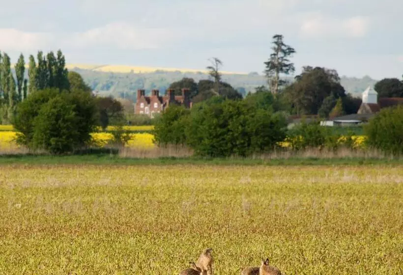 Hotelli Barnham Court Farm