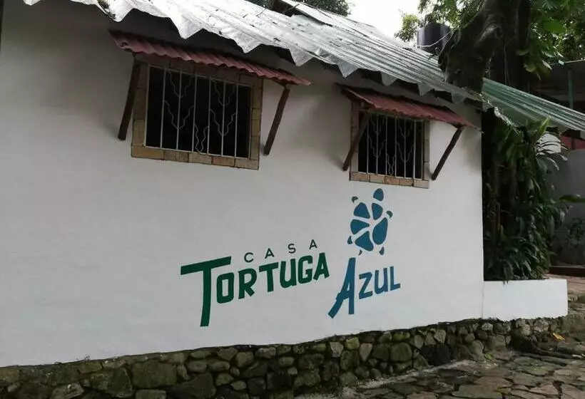 Hotelli Casa Tortuga Azul