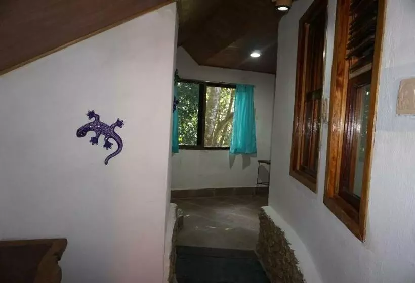 Hotelli Casa Tortuga Azul