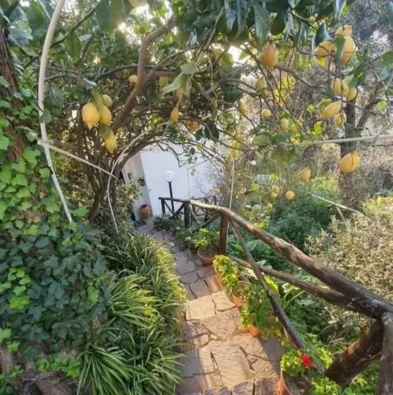 La Palombara B&b