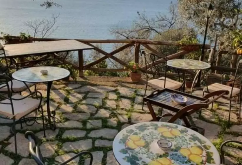 La Palombara B&b