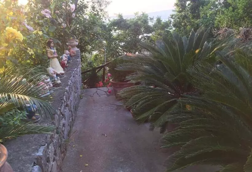 La Palombara B&b