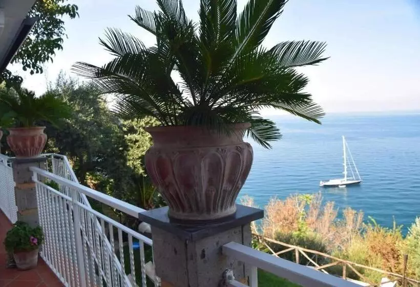 La Palombara B&b