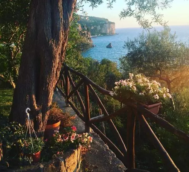 La Palombara B&b