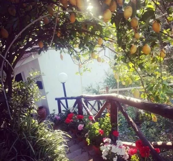 La Palombara B&b