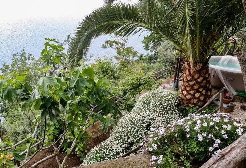 La Palombara B&b