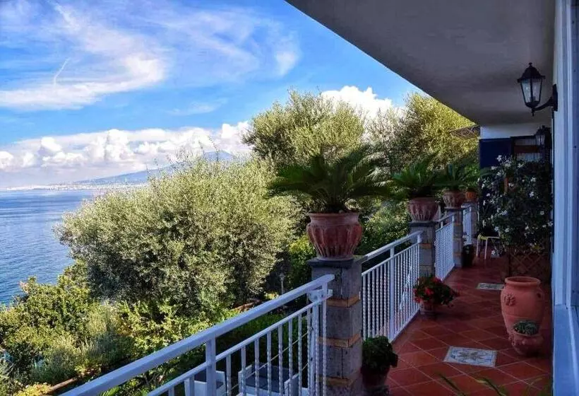 La Palombara B&b
