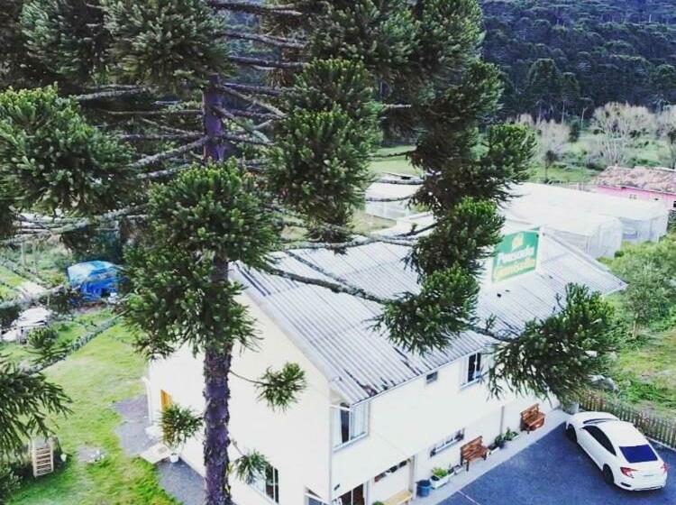 ペンション Pousada Gianisella