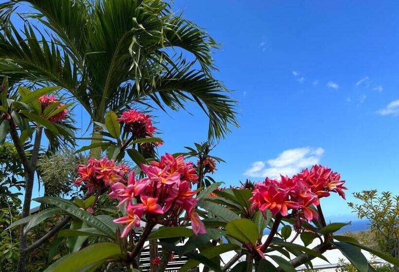 پانسیون Ravine Bleue