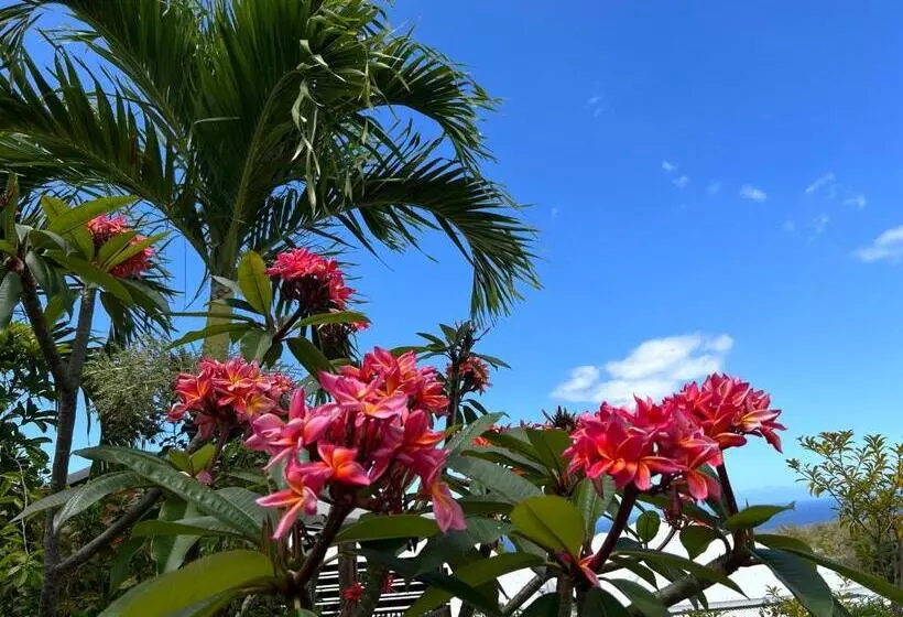 پانسیون Ravine Bleue