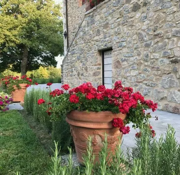 ベッドアンドブレックファースト Belsentiero