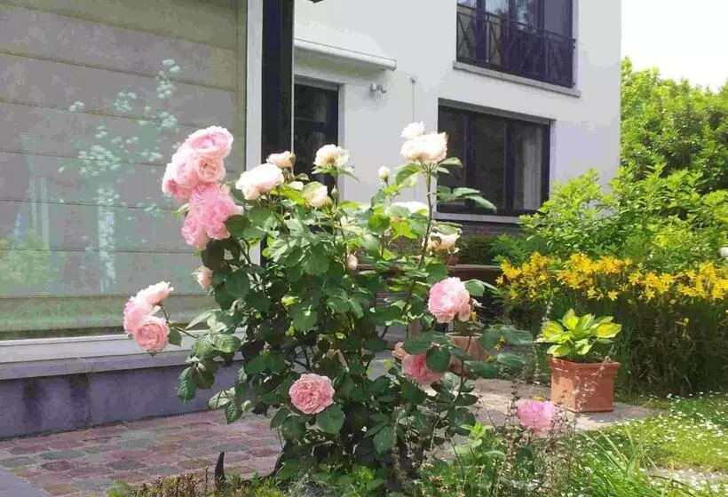 ベッドアンドブレックファースト La Pastorale Brussels Expo