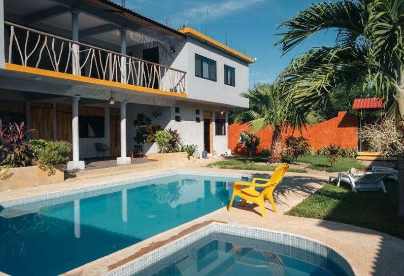 بنسيون Coccoloba Guest House