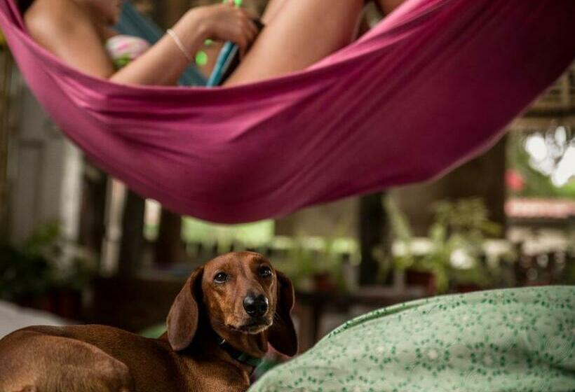 هاستل Chief Mau Moalboal Cebu