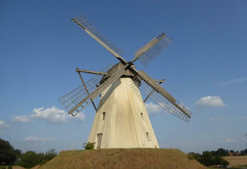 旅馆 Landgasthaus Zur Mühlenwirtin