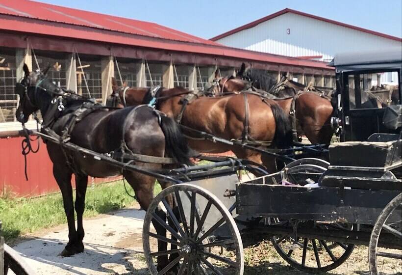 ベッドアンドブレックファースト Tillinghast Manor Bed & Brunch