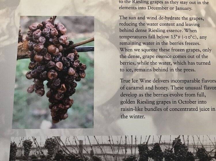 ベッドアンドブレックファースト Tillinghast Manor Bed & Brunch