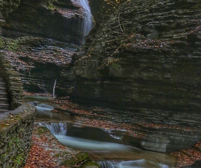 ベッドアンドブレックファースト Tillinghast Manor Bed & Brunch