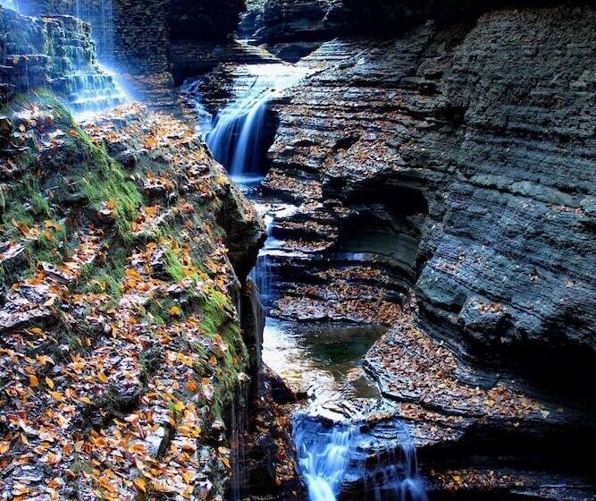 ベッドアンドブレックファースト Tillinghast Manor Bed & Brunch