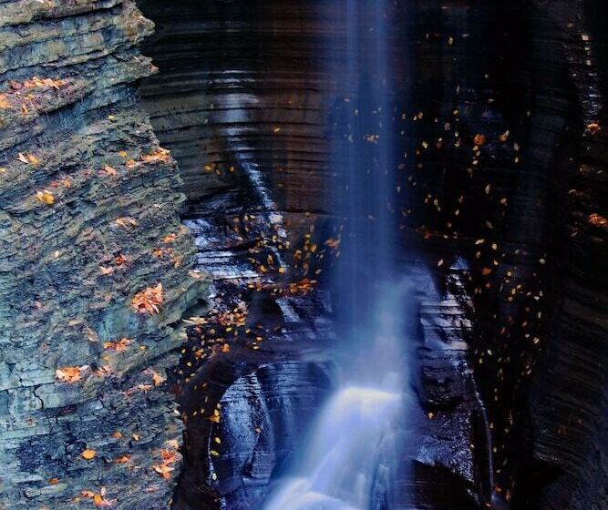 ベッドアンドブレックファースト Tillinghast Manor Bed & Brunch