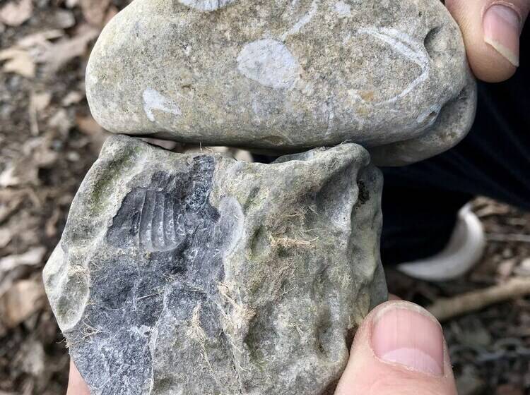 ベッドアンドブレックファースト Tillinghast Manor Bed & Brunch