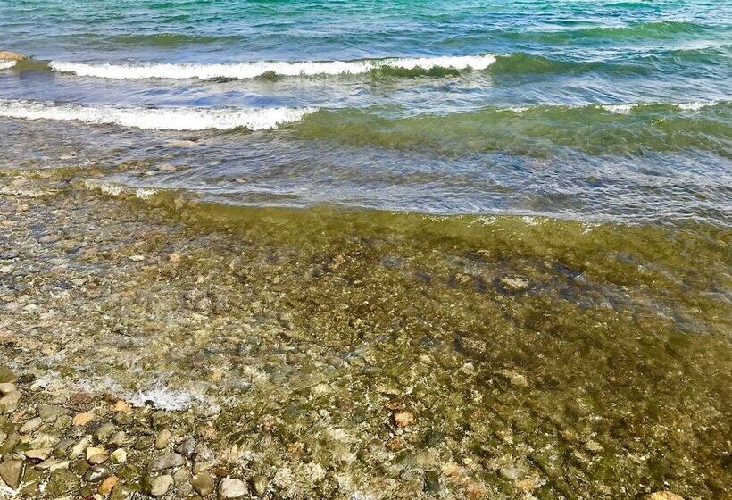 ベッドアンドブレックファースト Tillinghast Manor Bed & Brunch