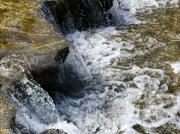 ベッドアンドブレックファースト Tillinghast Manor Bed & Brunch