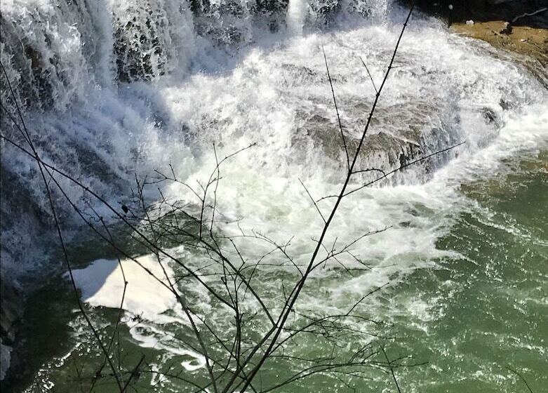 ベッドアンドブレックファースト Tillinghast Manor Bed & Brunch