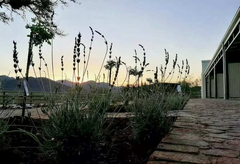 Majatalo Asher Stable Stay