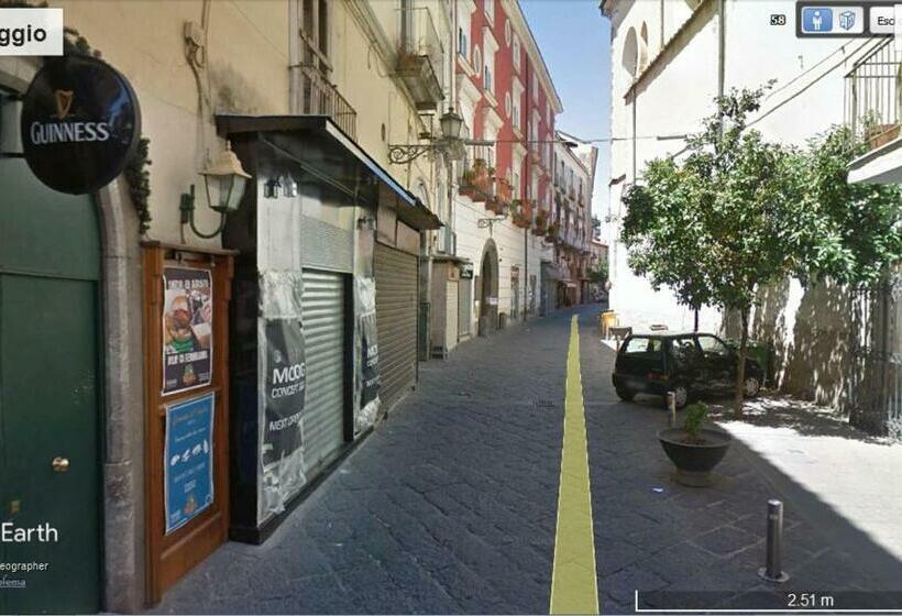 Пансион Badia