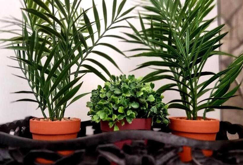 ペンション Palm Inn Guesthouse