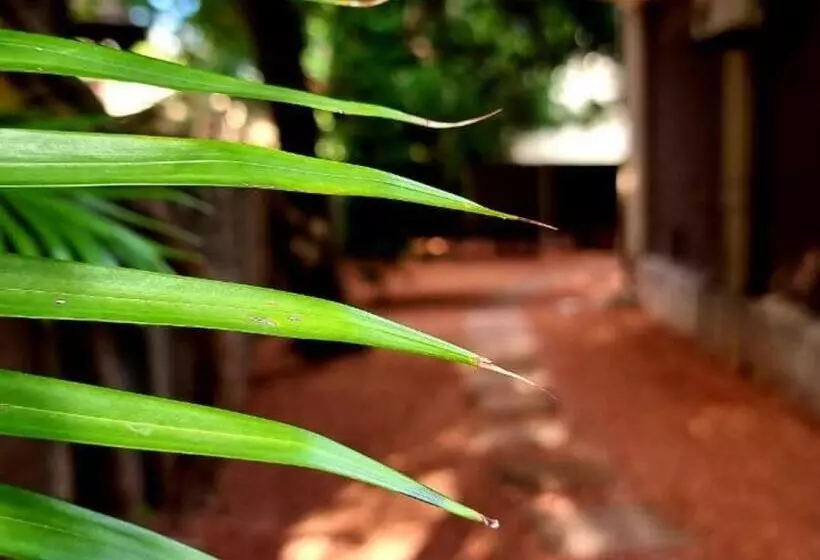 Majatalo Palm Inn Guesthouse