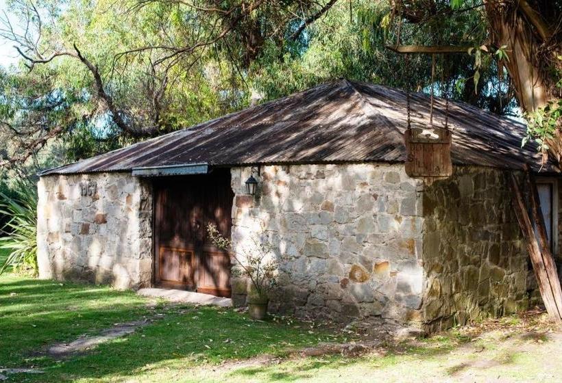 Apartur Mar Del Plata